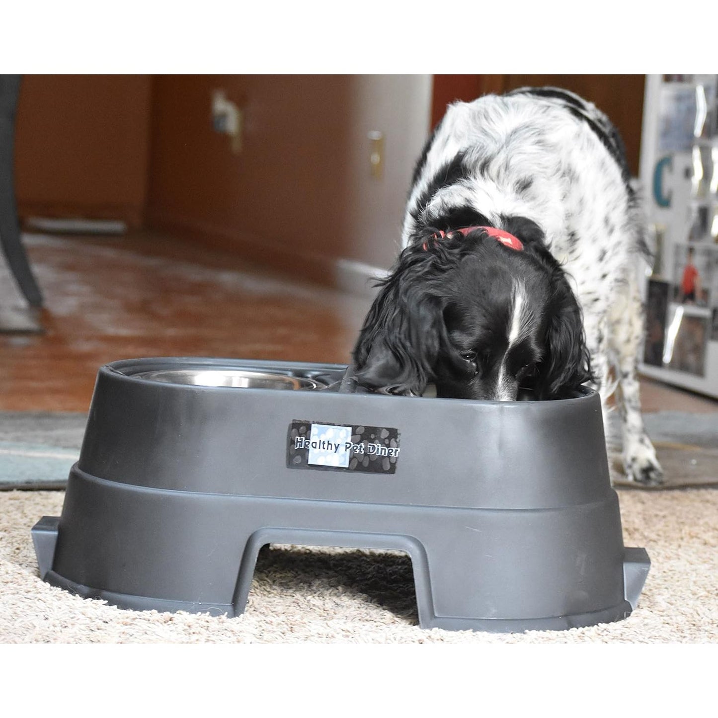 Ourpets Comfort Diner Elevated Dog Food Dish